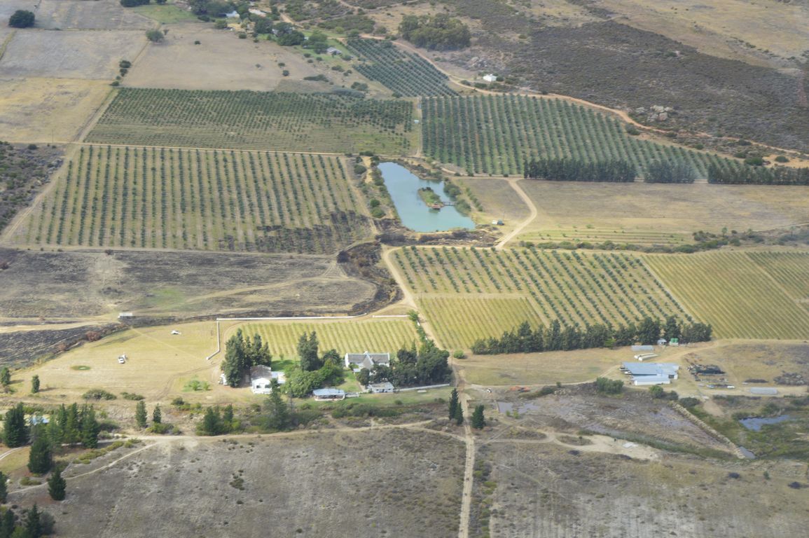 Cederberg, Rocklands