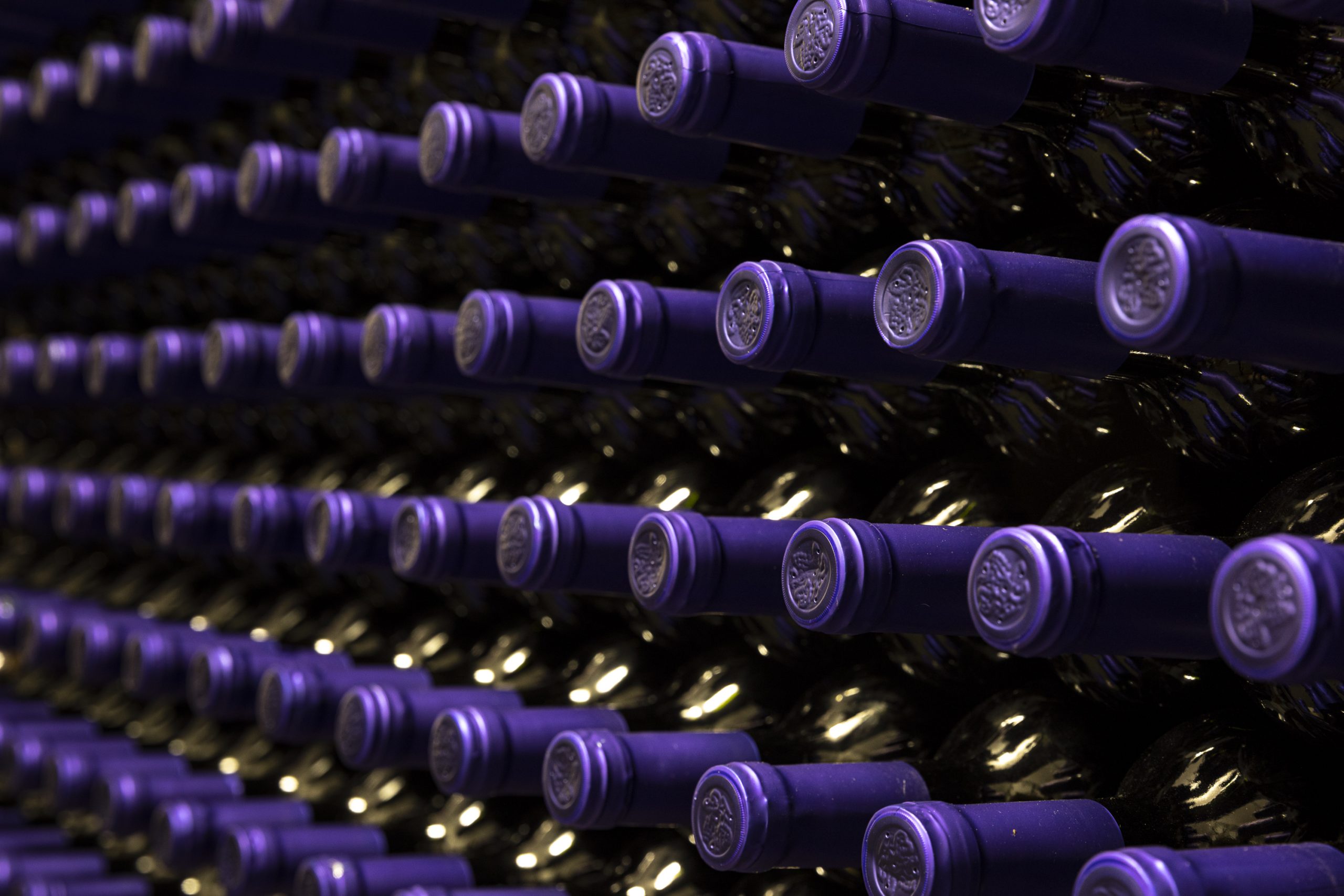 Olives & Wine Alpha Excelsior