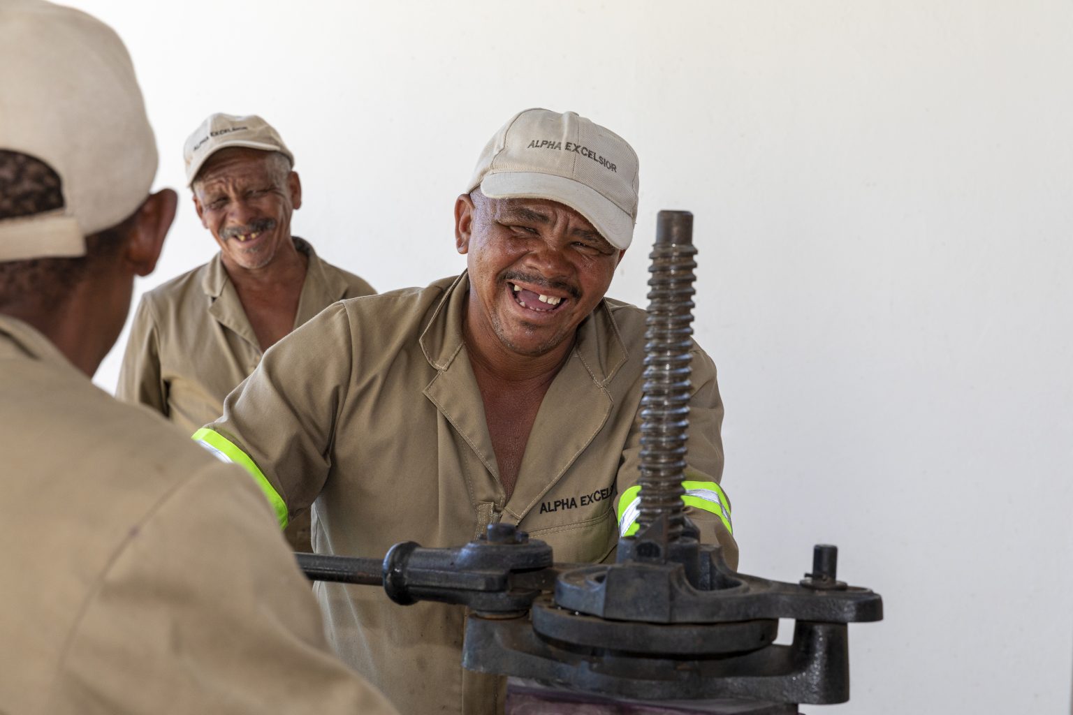 Olives & Wine Alpha Excelsior