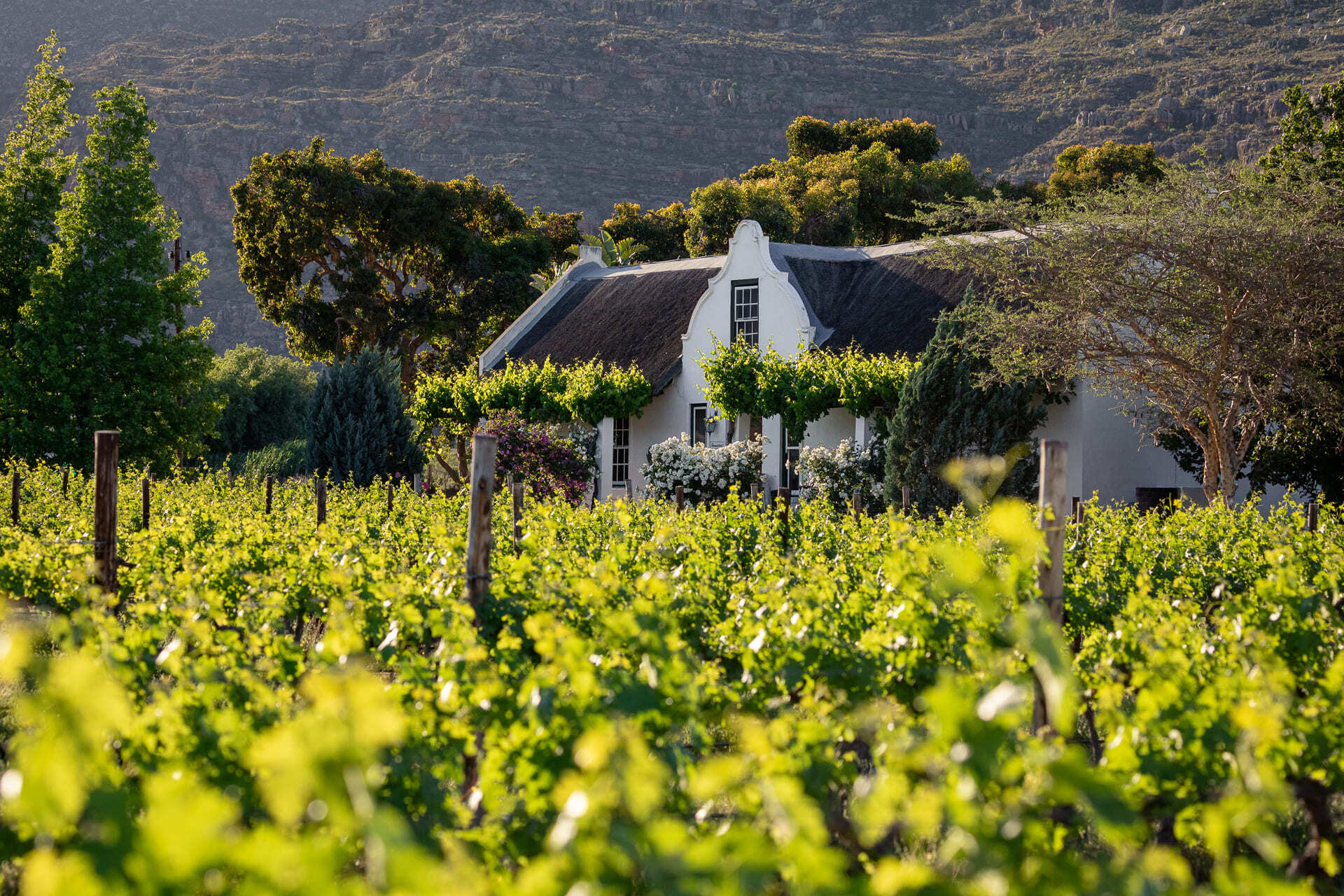 20201102-IMG_1009 (2021_03_08 11_00_20 UTC)