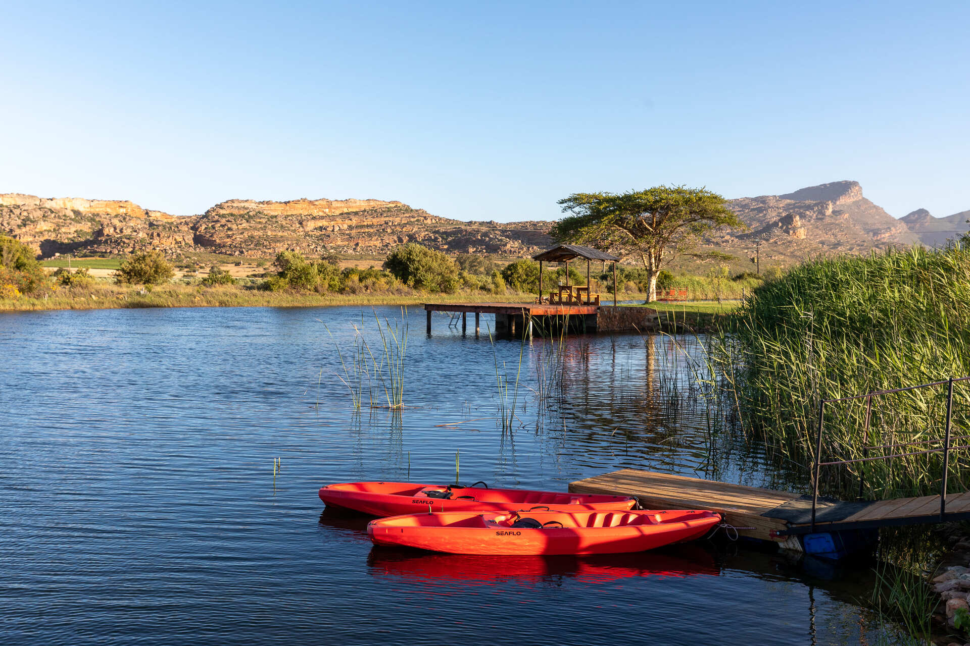 20201203-IMG_1867 (2021_03_08 11_00_20 UTC)