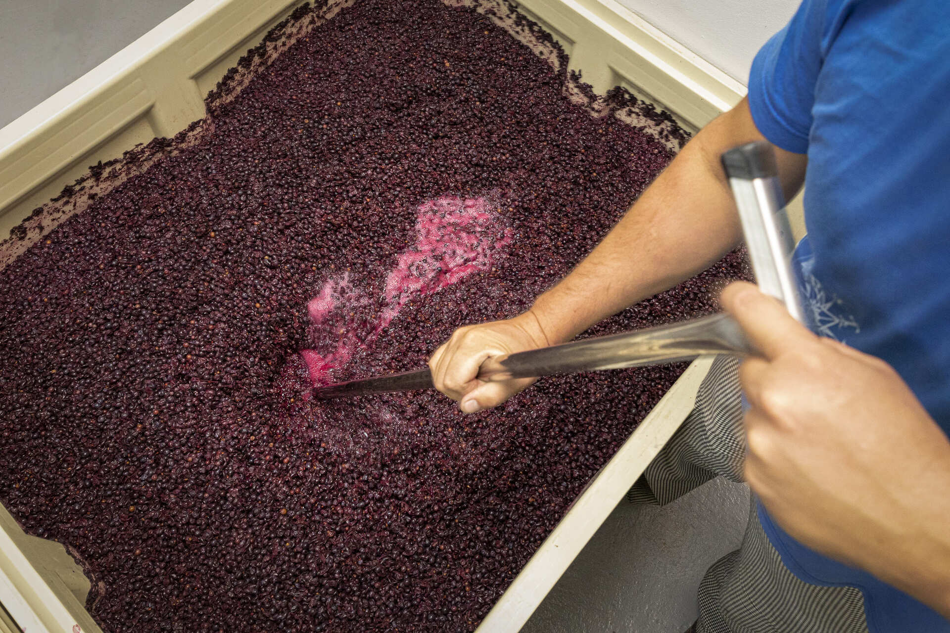 20210226-IMG_2680-Edit (2021_03_08 11_00_20 UTC)