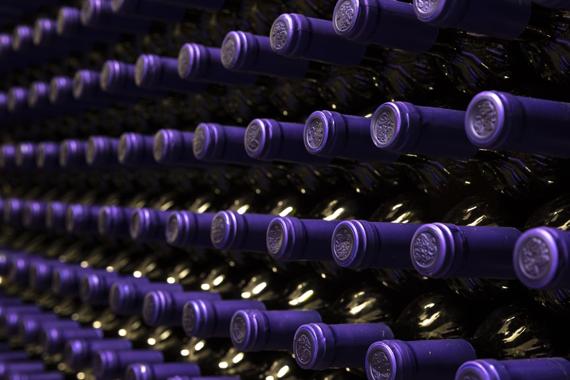 20210226-IMG_2747 (2021_03_08 11_00_20 UTC)