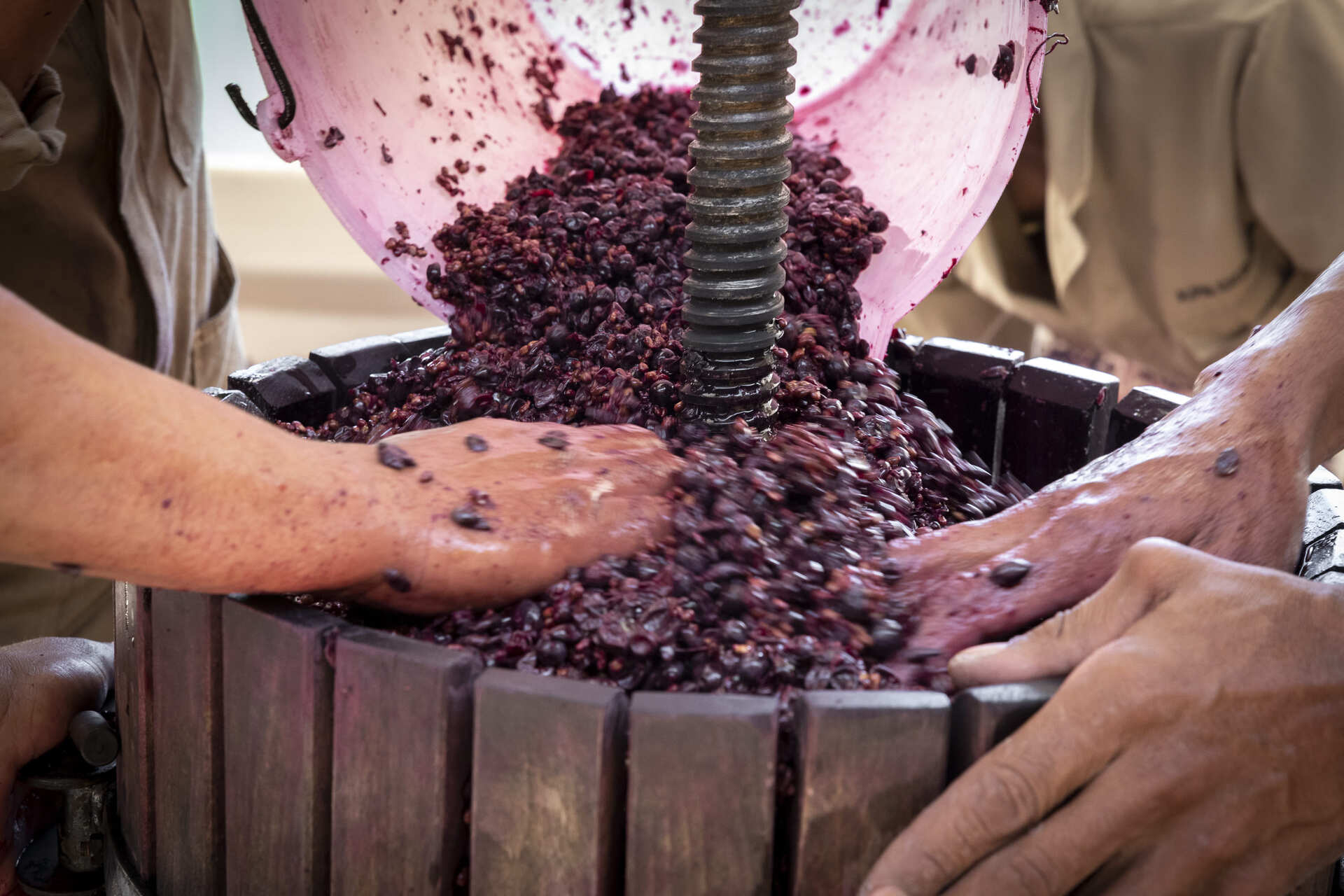 20210302-IMG_2877 (2021_03_08 11_00_20 UTC)