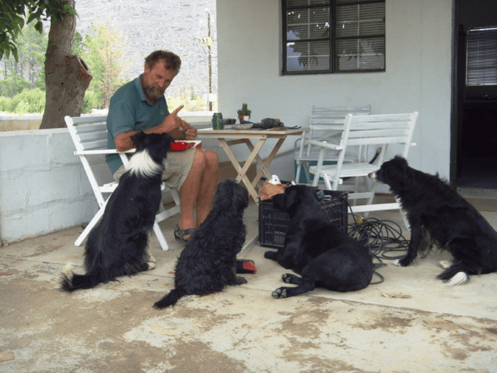 Connie & Dogs (2021_03_08 11_00_20 UTC)