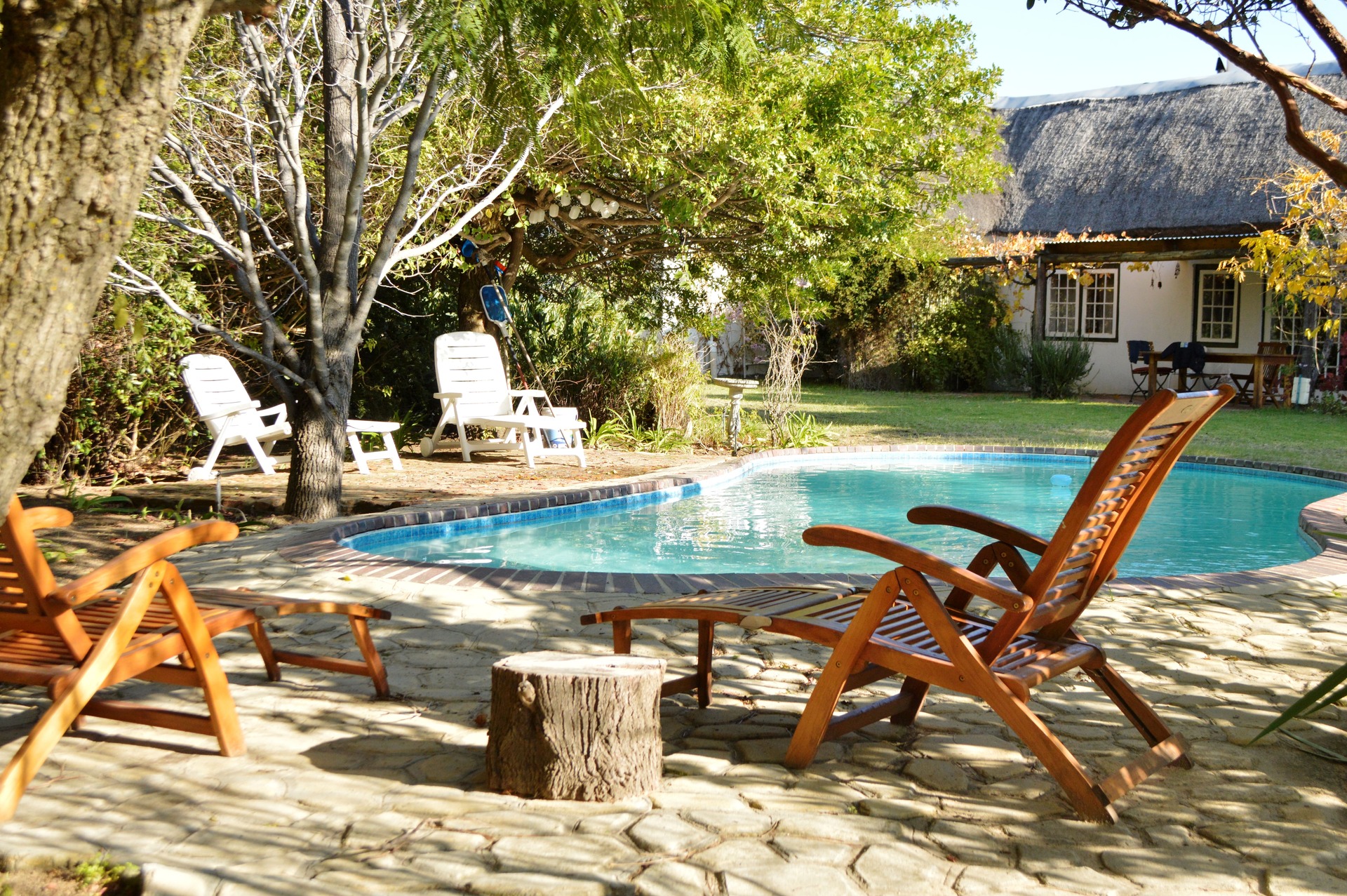 _DSC0428 (2021_03_08 11_00_20 UTC)