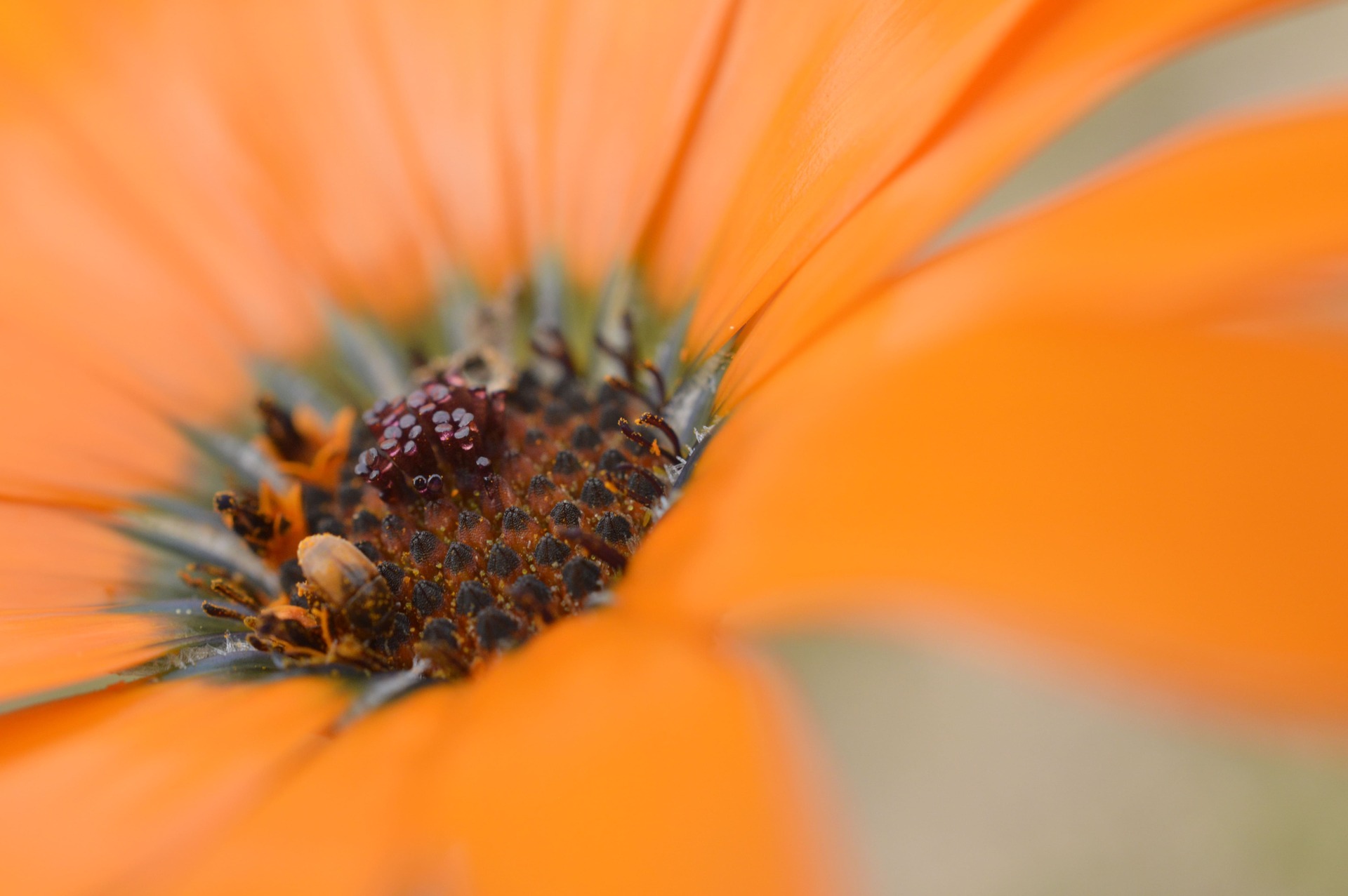 _DSC0659 (2021_03_08 11_00_20 UTC)