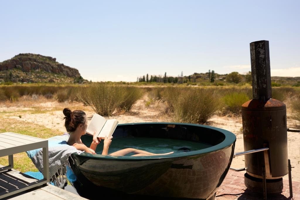 DSC07607_rooibos_comp