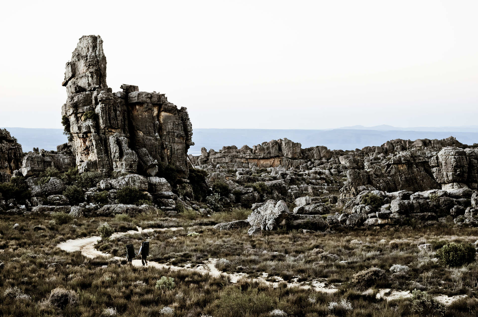 DSC08422 (2021_03_08 11_00_20 UTC)