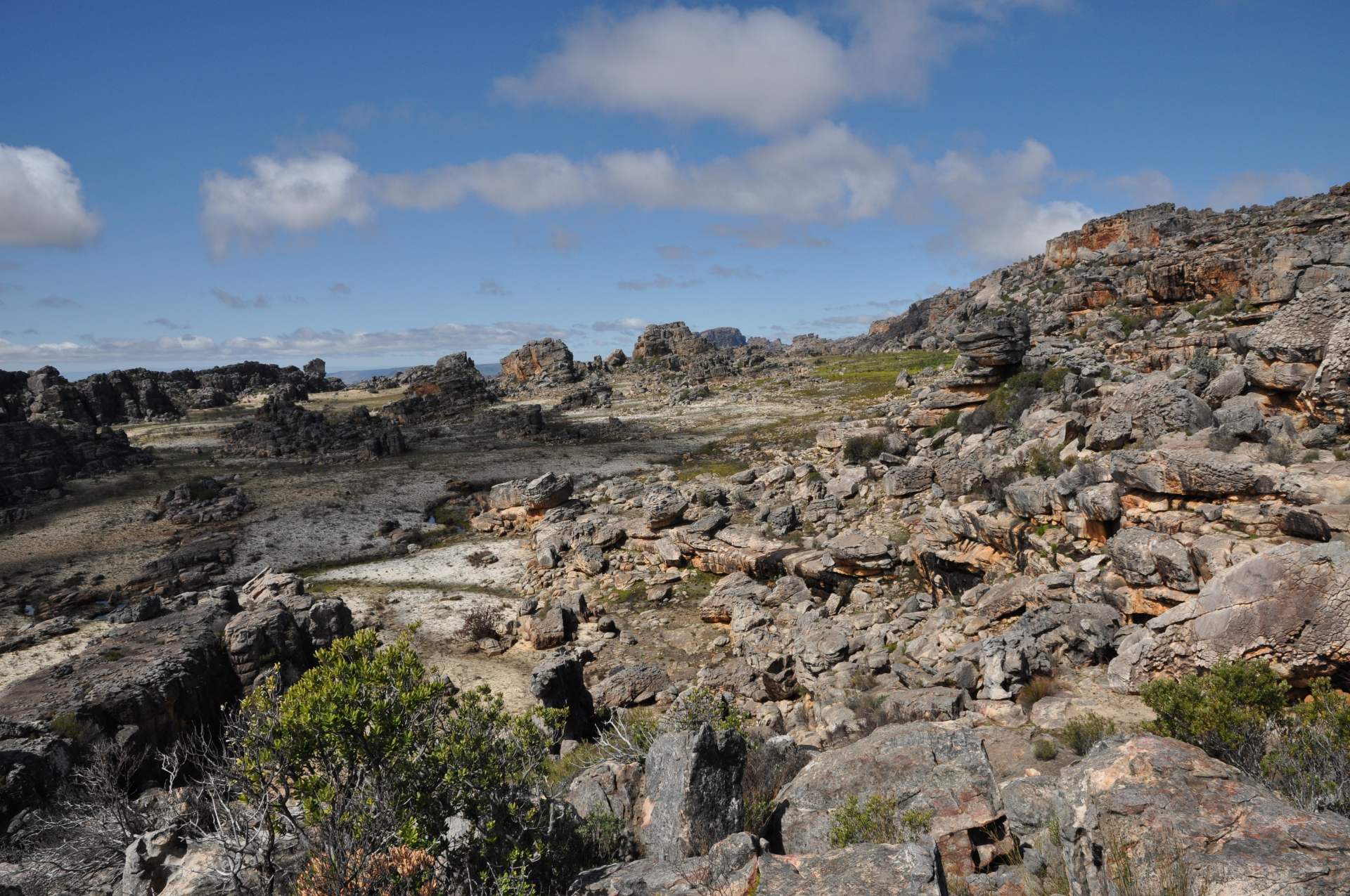 DSC_8363 (2021_03_08 11_00_20 UTC)