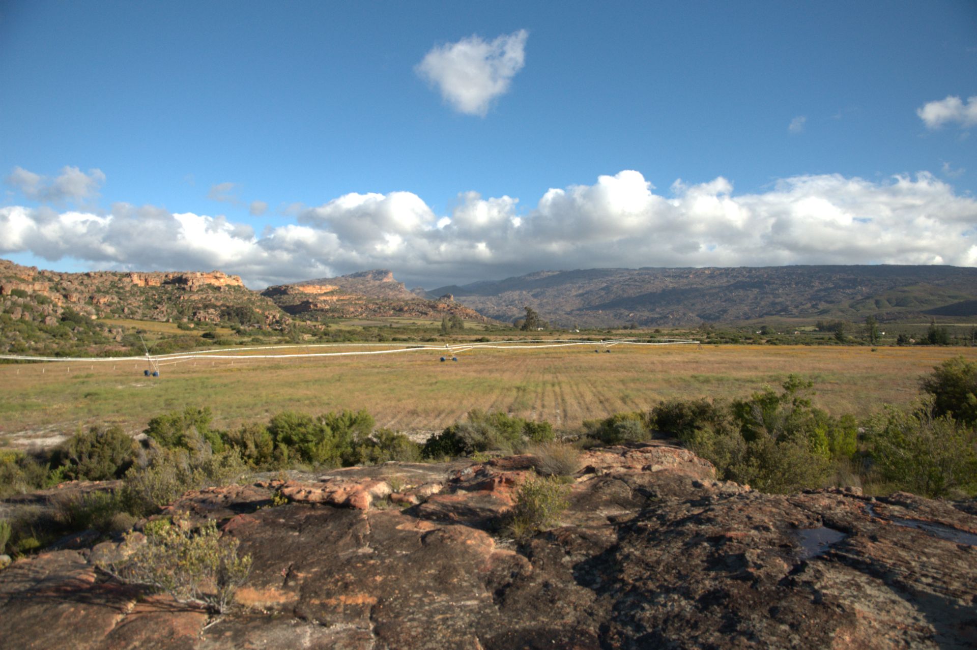 DSC_8385 (2021_03_08 11_00_20 UTC)