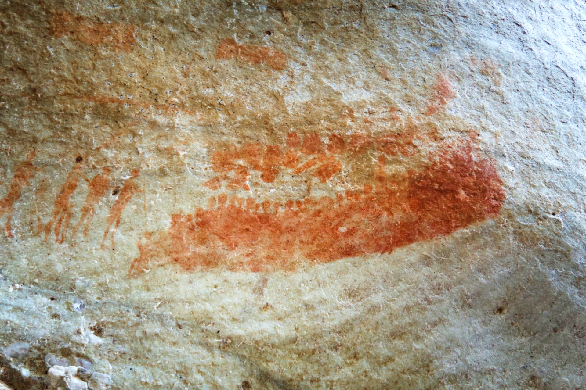 WhatsApp Image 2025-08-10 at 21.07.55_8960fe4d